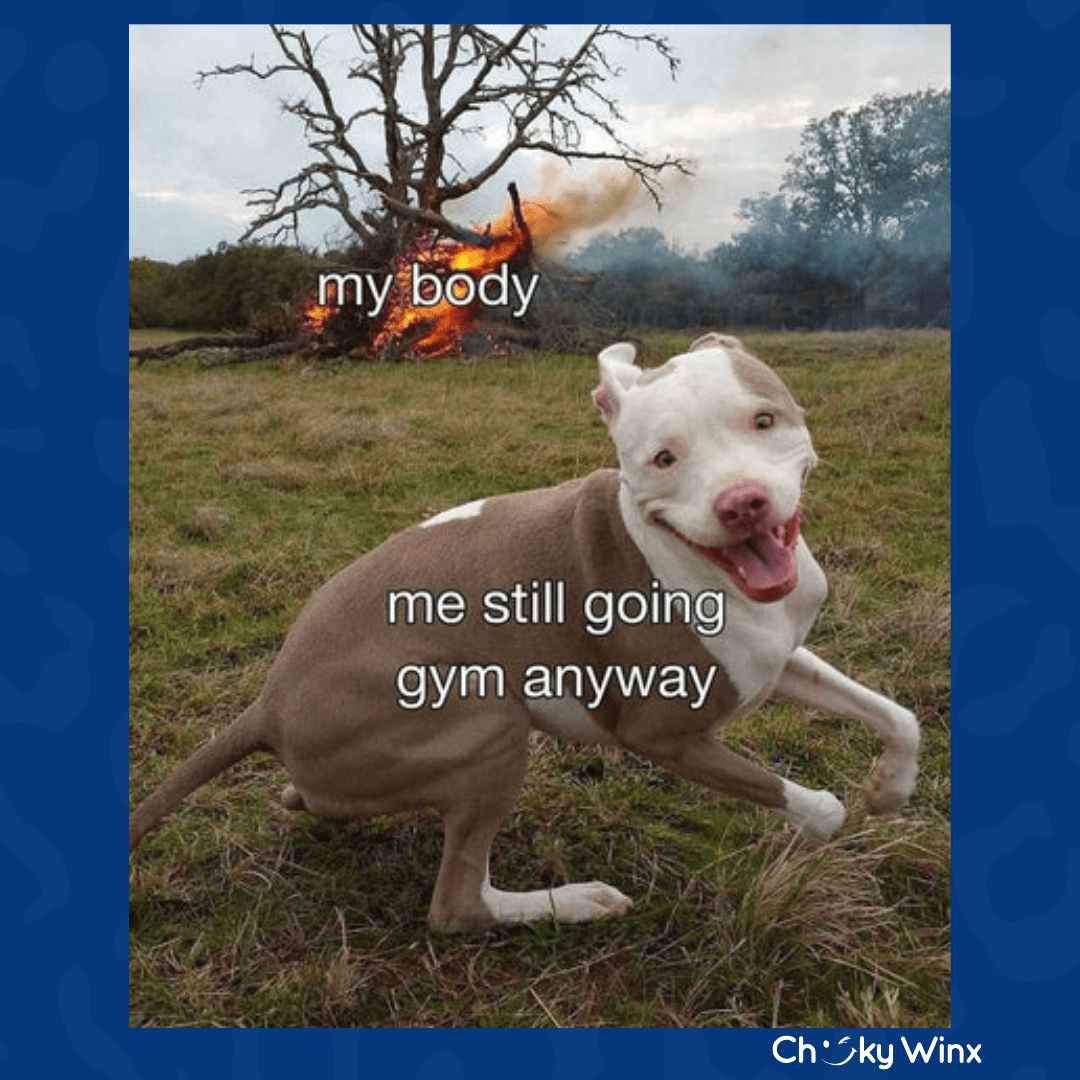 Best Gym Memes of 2025: Hilarious Moments Youβll Relate To at the Gym! - Cheeky Winx