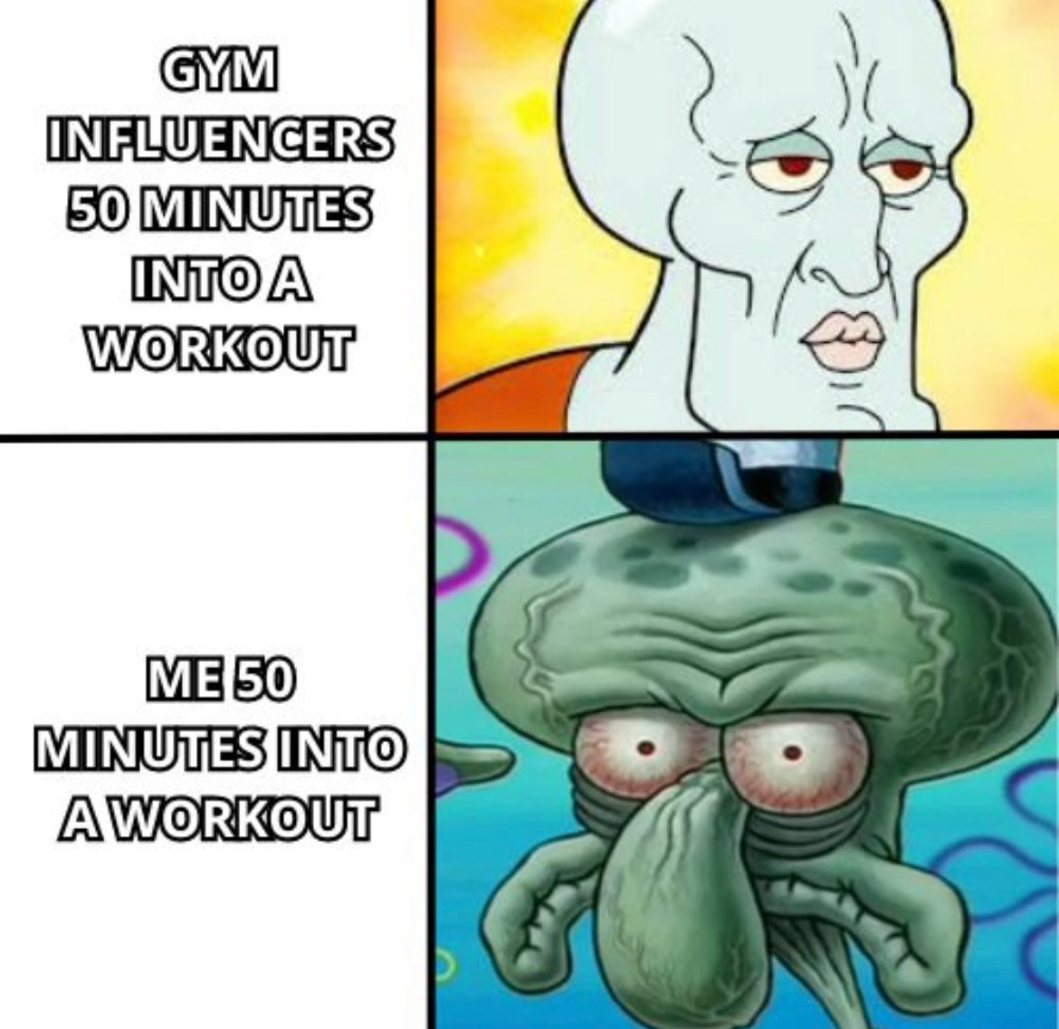 Top 10 Gym Memes For 2024